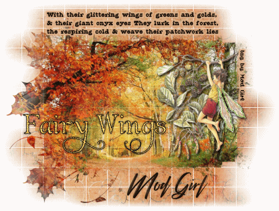 Faerie Wings tag by Mod Girl