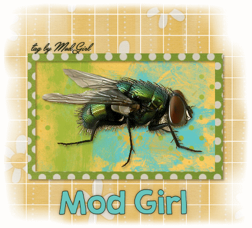 Fly tag by Mod Girl