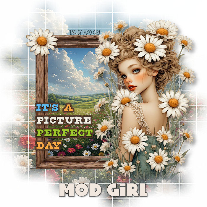 Picture Perfect tag by Mod Girl