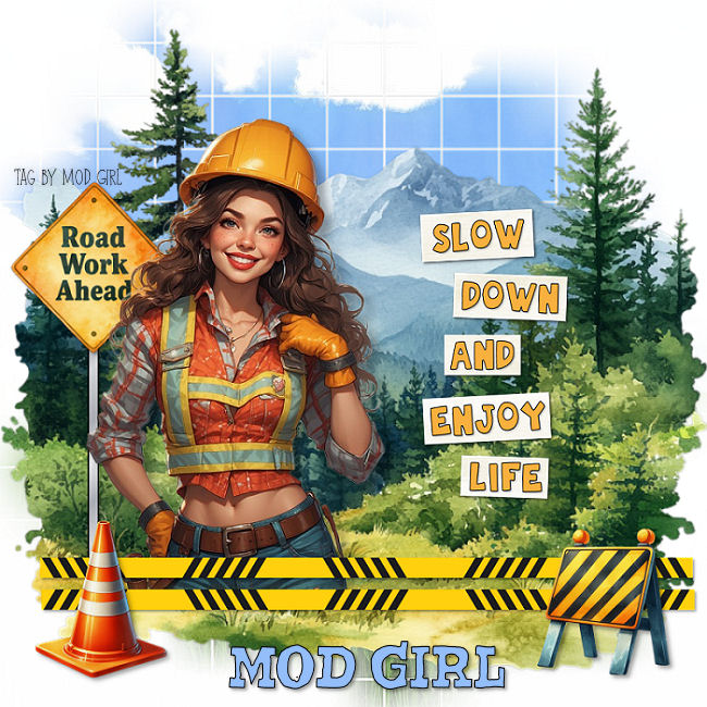Slow Down tag by Mod Girl