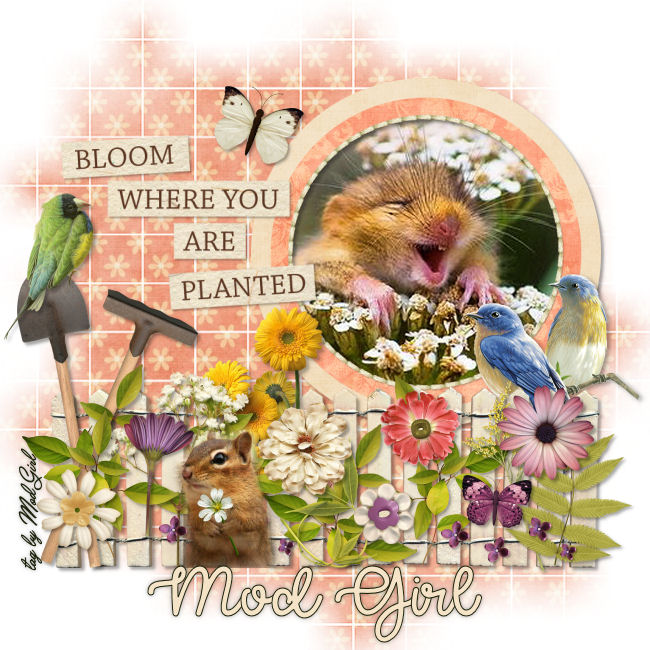 Bloom tag by Mod Girl