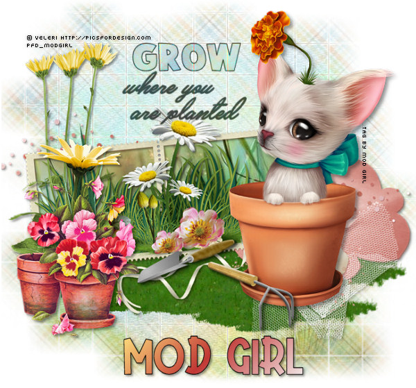 Potted Pup tag by Mod Girl